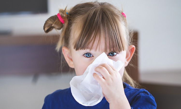 Spray Fitonasal - naturalny sposób na katar u dzieci i dorosłych