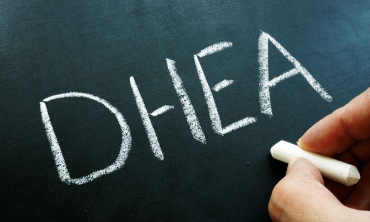 DHEA u mężczyzn a dysfunkcje seksualne po 40 roku życia