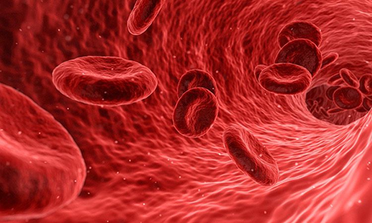 Anemia. Jak się objawia i jak sobie z nią poradzić?