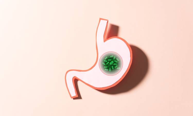 Helicobacter pylori (H. pylori) - objawy zakażenia bakterią, testy i leczenie