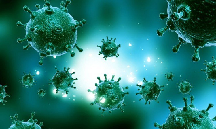 Immunomodulacja w profilaktyce chorób układu oddechowego