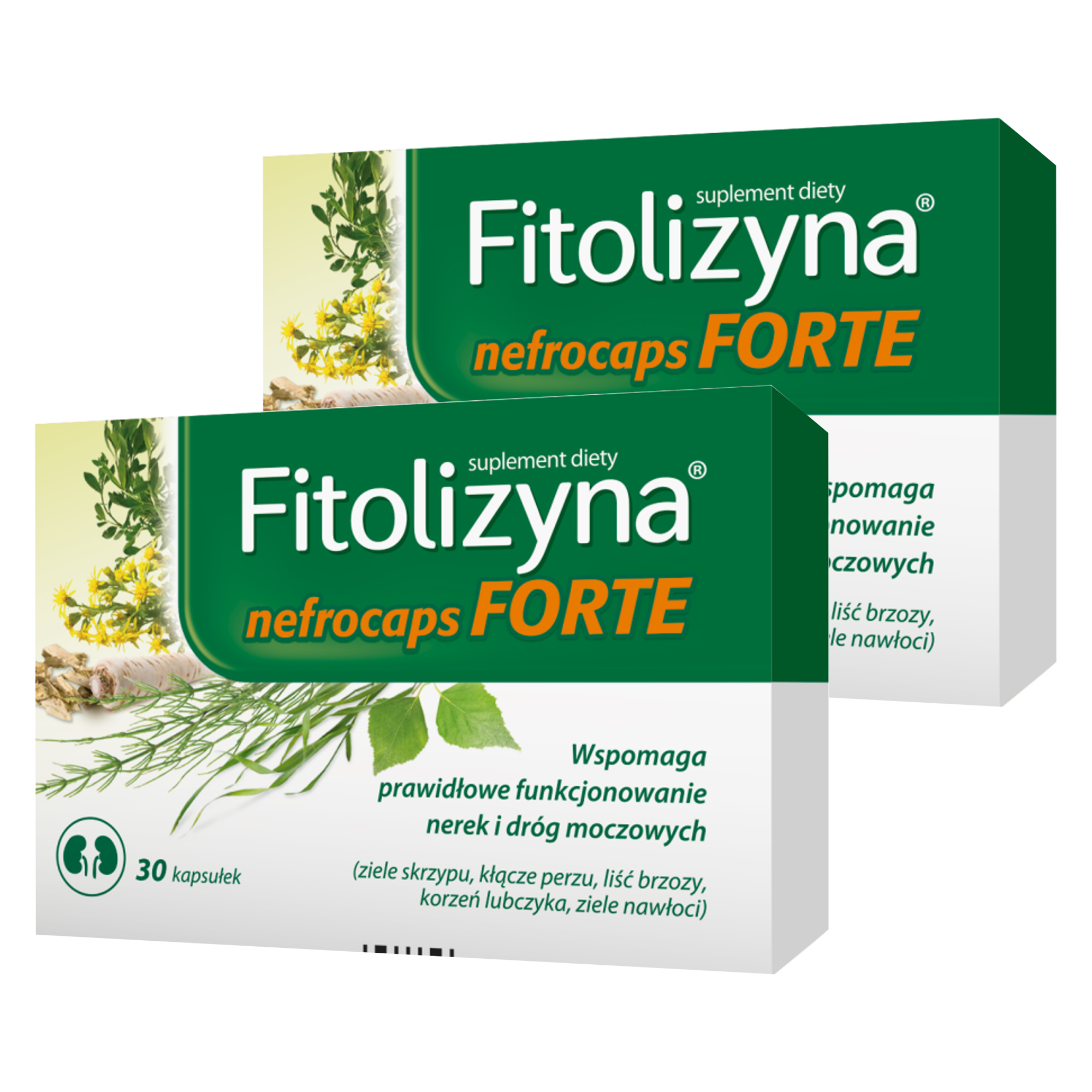 Fitolizyna Nefrocaps Forte, kapsułki, 2 x 30 sztuk zdjęcie