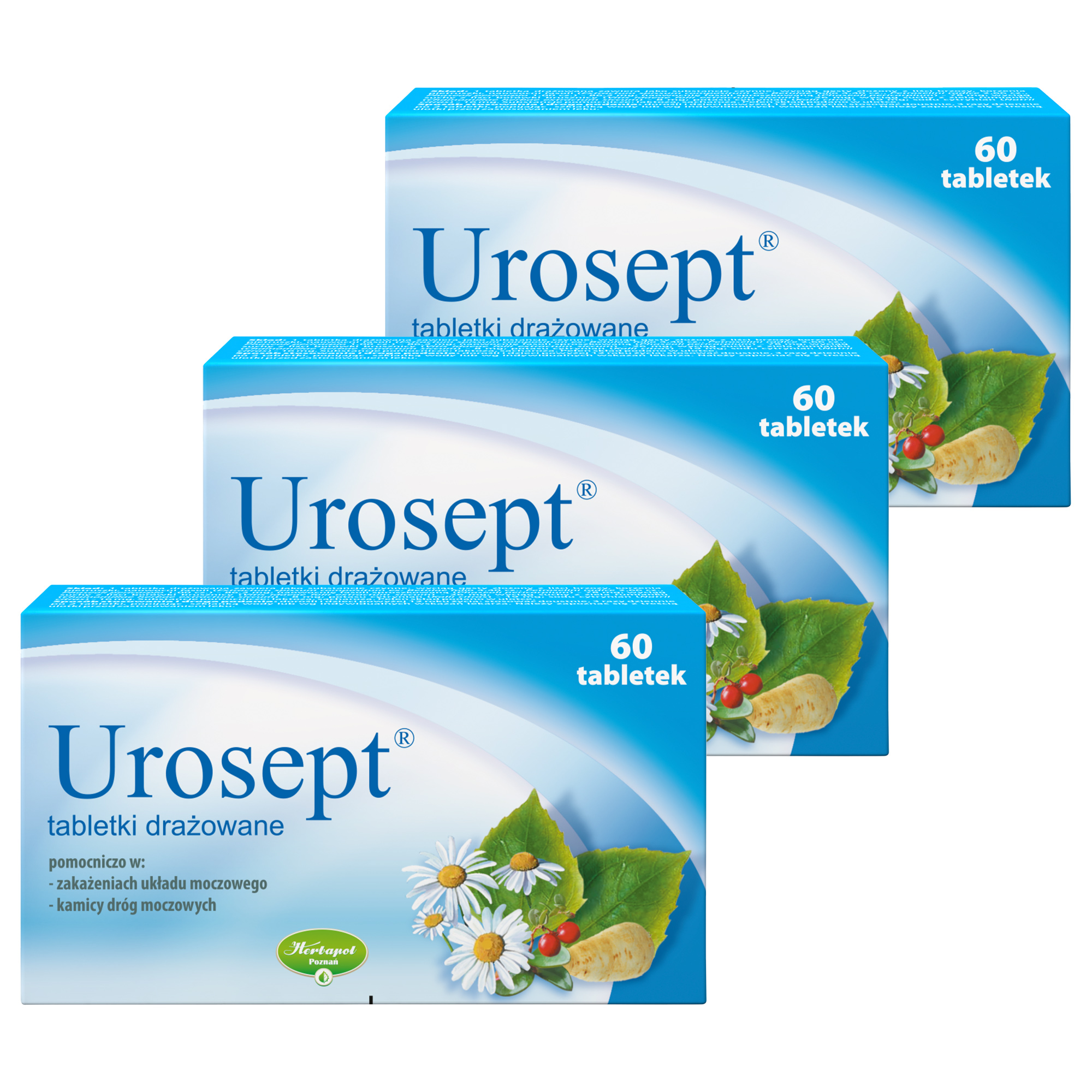 Urosept, tabletki drażowane, 3 x 60 sztuk zdjęcie